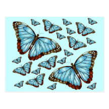 Placer de la mariposa tarjetas postales