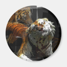 Placer del tigre imán de nevera