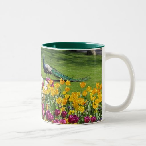 Placer del tulipán taza