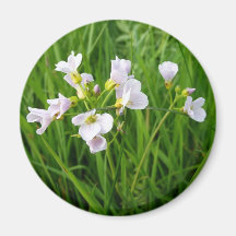 Placer del Wildflower Imán De Frigorifico