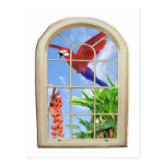 Placer tropical tarjetas postales