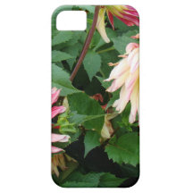 Placeres del naranja y de la crema iPhone 5 Case-Mate protectores