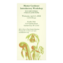 Planta carnívora del Darlingtonia Tarjetas Fotograficas Personalizadas