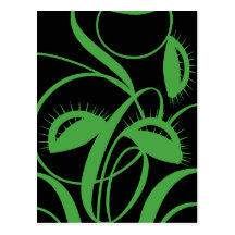 Planta carnívora tarjeta postal