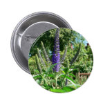 Planta con las flores púrpuras pin