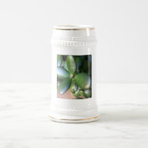 Planta de dinero taza de café