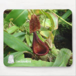 Planta de jarra Mousepad Alfombrillas De Ratón