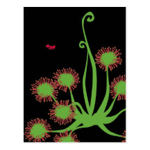 Planta de Sundew carnívora Postales