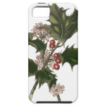 Planta del acebo del navidad del vintage con las b iPhone 5 fundas