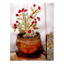Planta en pote de la terracota tarjetas postales