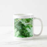 planta frondosa verde grande tazas de café