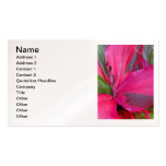 Planta hawaiana del Ti Tarjetas Personales