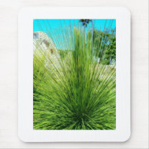 Planta nativa Mousepad de California