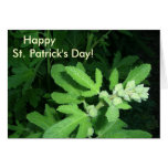 Planta verde del día de St Patrick Felicitación
