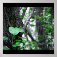 Planta verde poster