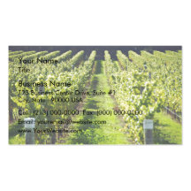 Plantación de las vides del uva-transporte tarjetas de visita