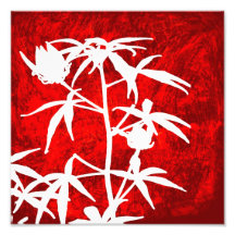 Plantaciones-Luz Dodge 10 x 10 Fotografía