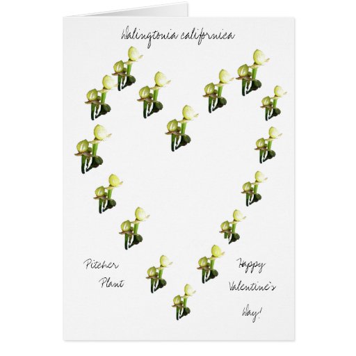 Plantas de la jarra de la tarjeta del día de San V