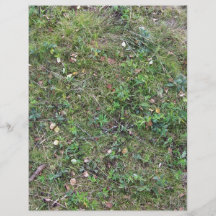 Plantas de tierra que crecen en campo de hierba tarjetón
