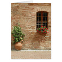 Plantas de tiesto de Toscana Tarjetón
