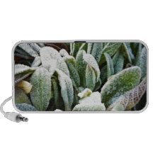 Plantas del invierno altavoces de viaje