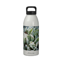 Plantas del invierno botella de beber