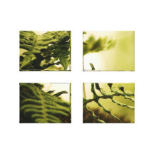 Plantas e imágenes del agua impresion de lienzo