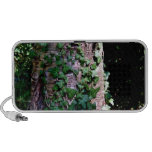 Plantas que suben en árbol en bosque mini altavoz