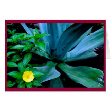 Plantas tropicales tarjeton