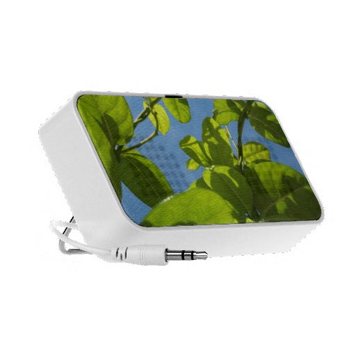 Plantas y altavoces del cielo