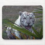 plantilla del mousepad 912x9 alfombrilla de ratones