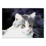 Plata soñolienta y tarjeta blanca del gatito