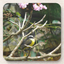 Plátano-Abandone el pájaro en árbol Posavaso