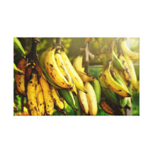 Platanos Puerto Rico Impresión En Lona Estirada