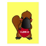 Platypus lindo postal