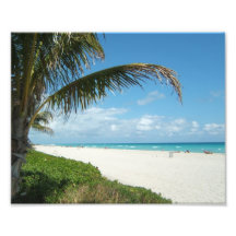 Playa blanca w/Palm de la arena Foto