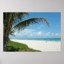 Playa blanca w/Palm de la arena Posters