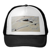 Playa cerca de la playa del océano gorras de camionero