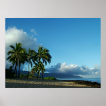 Playa de Alii Poster