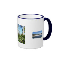 playa de la Florida, pájaros, flamencos Tazas De Café