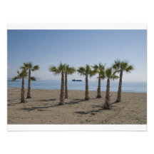 Playa de la palmera anuncios personalizados