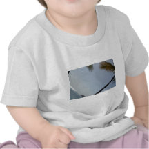 Playa de la palmera camisetas