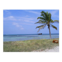 Playa de Malmok en la postal de Aruba