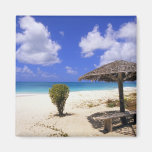 Playa del punto de los Cocos, Barbuda, Antigua Imán De Frigorifico