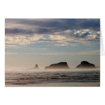 Playa en la niebla tarjetón
