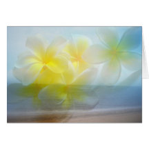 Playa/Frangipani tropicales del asilo Tarjeta