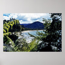 Playa, isla de Stewart Posters