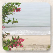 Playa Práctico de costa-Pacífica del océano Posavaso