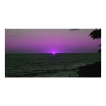 playa púrpura tarjeta fotografica  