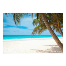 Playa tropical del paraíso arte con fotos